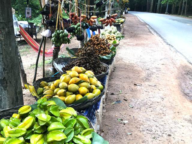 アンコールへの道に売ってるローカル果物